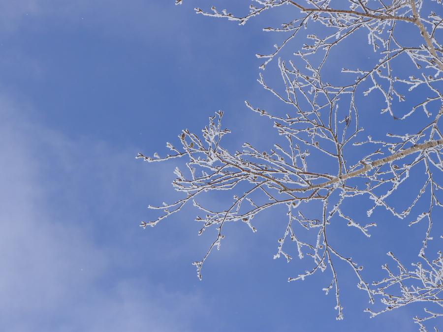 冬の洞爺　絶景を巡る；　青空と樹氷