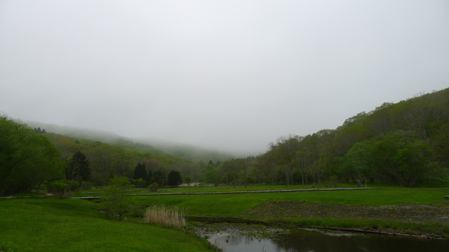 釧路湿原のある公園にて。この曇り方が、霧が、良いですね。