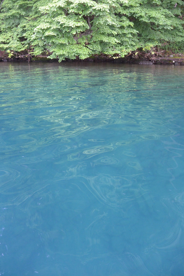 中島の水の青さ！
