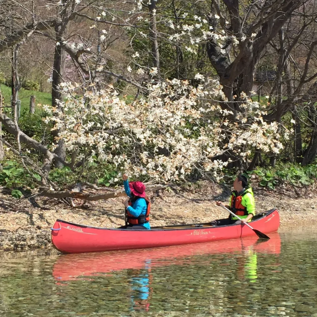 洞爺ガイドセンター 洞爺湖でカヌー2026 洞爺湖カヌー体験